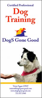 Brochure Design for Dogs Gone Good