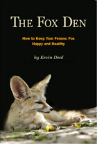 Design of eBook on Fennec Foxes