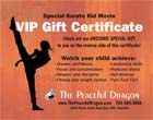 Graphic Design for Karate Kid promotional offer