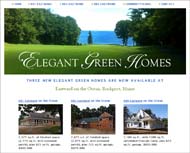 Web site Design for Elegant Green Homes